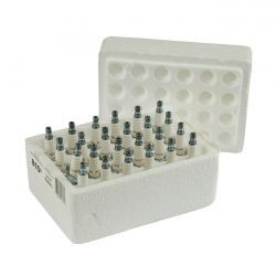 CHAMPION, BOUGIES...