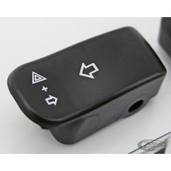 EXTENSIONS BOUTONS CLIGNOTANT