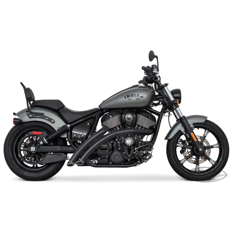 FREEDOM PERFORMANCE RADICAL RADIUS POUR INDIAN THUNDERSTROKE