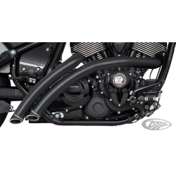 FREEDOM PERFORMANCE RADICAL RADIUS POUR INDIAN THUNDERSTROKE