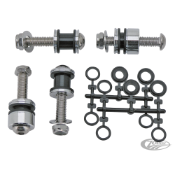 SISSY BARS SHORTY DETACHABLES