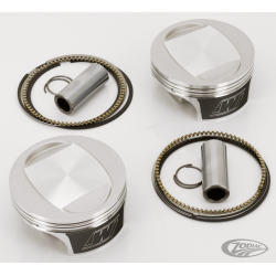 KITS PISTONS WISECO TRACKER SERIES