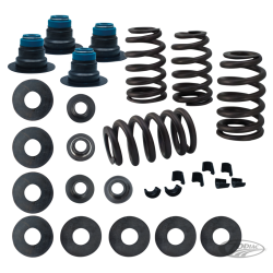 RESSORTS DE SOUPAPES S&S STREET PERFORMANCE .585"