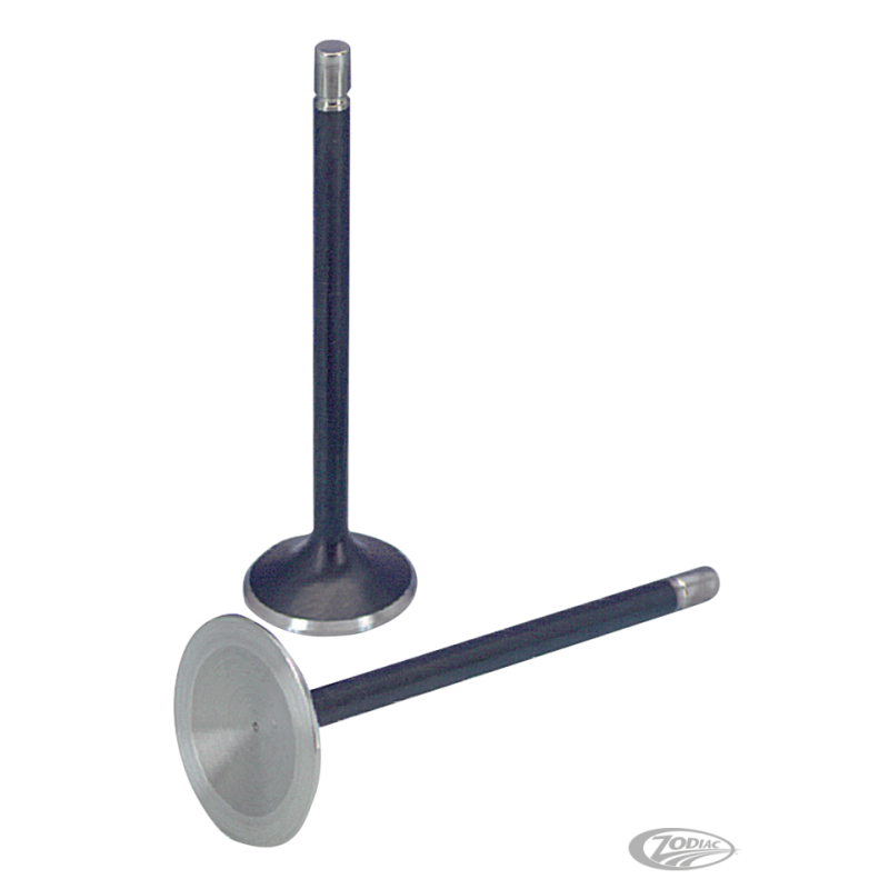 SOUPAPES AVEC QUEUES FINES POUR 883 EVOLUTION SPORTSTERS