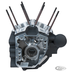 CARTERS MOTEUR S&S TWIN CAM "A" POUR DYNA 2006-2017