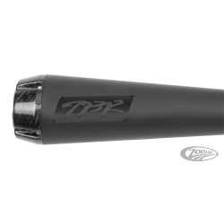 ECHAPPEMENT TWO BROTHERS RACING POUR RH1250 SPORTSTER S