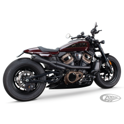 ECHAPPEMENT TWO BROTHERS RACING POUR RH1250 SPORTSTER S