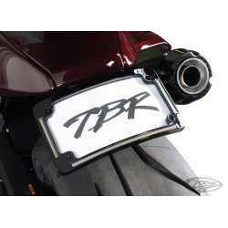 ECHAPPEMENT TWO BROTHERS RACING POUR RH1250 SPORTSTER S