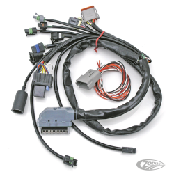 FAISCEAU S&S CUSTOM POUR INJECTION TYPE DELPHI