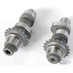 CAMES ANDREWS DE CONVERSION EN CHAINE A ROULEAUX POUR 1999-2006 TWIN CAM