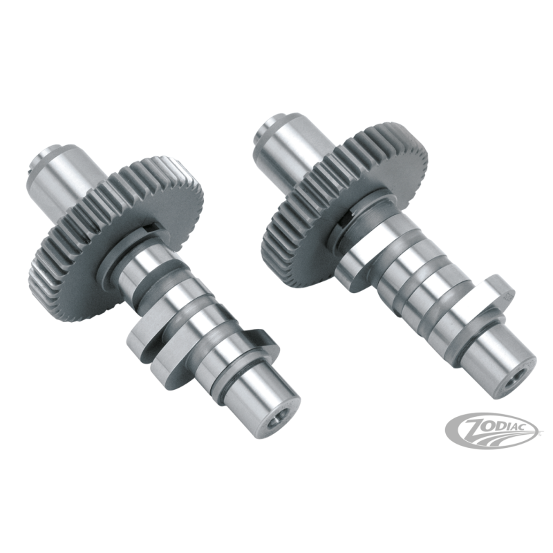 CAMES S&S POUR EVOLUTION BIG TWIN