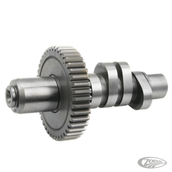 CAMES S&S POUR EVOLUTION BIG TWIN