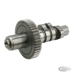 CAMES S&S POUR EVOLUTION BIG TWIN