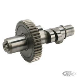 CAMES S&S POUR EVOLUTION BIG TWIN