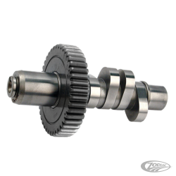 CAMES S&S POUR EVOLUTION BIG TWIN