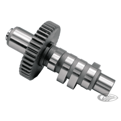 CAMES V-THUNDER POUR EVOLUTION BIG TWIN 1984-2000