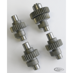 CAMES POUR SPORTSTER EVOLUTION