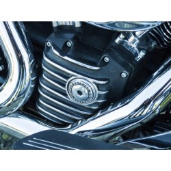 Snatch carter de distribution