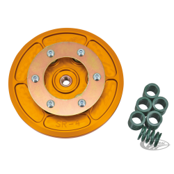 KIT CONVERSION DE RESSORT D'EMBRAYAGE
