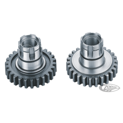 PIGNON ENTRAINEUR DE QUATRIEME