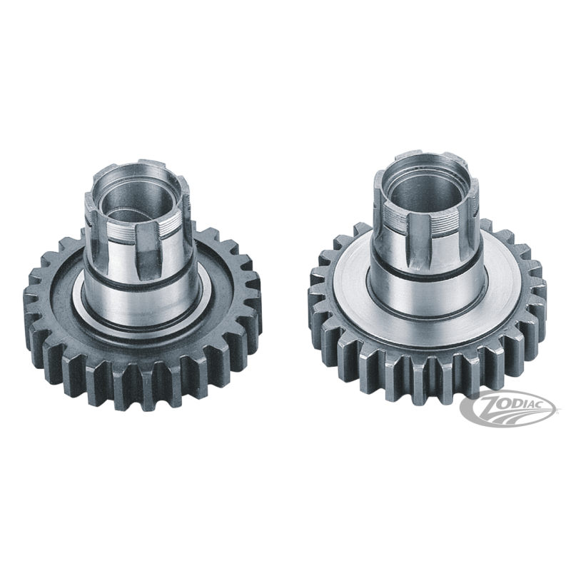 PIGNON ENTRAINEUR DE QUATRIEME