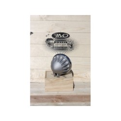 COQUE DE PHARE Vitamin C