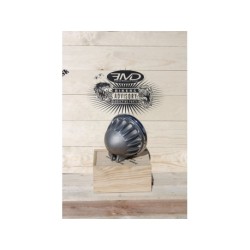 COQUE DE PHARE Vitamin C