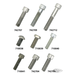 HARRISON VIS D'ETRIER ET VIS DE FIXATION