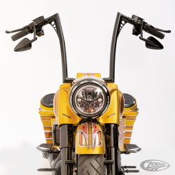 ROLAND SANDS DESIGN VINTAGE KING APE