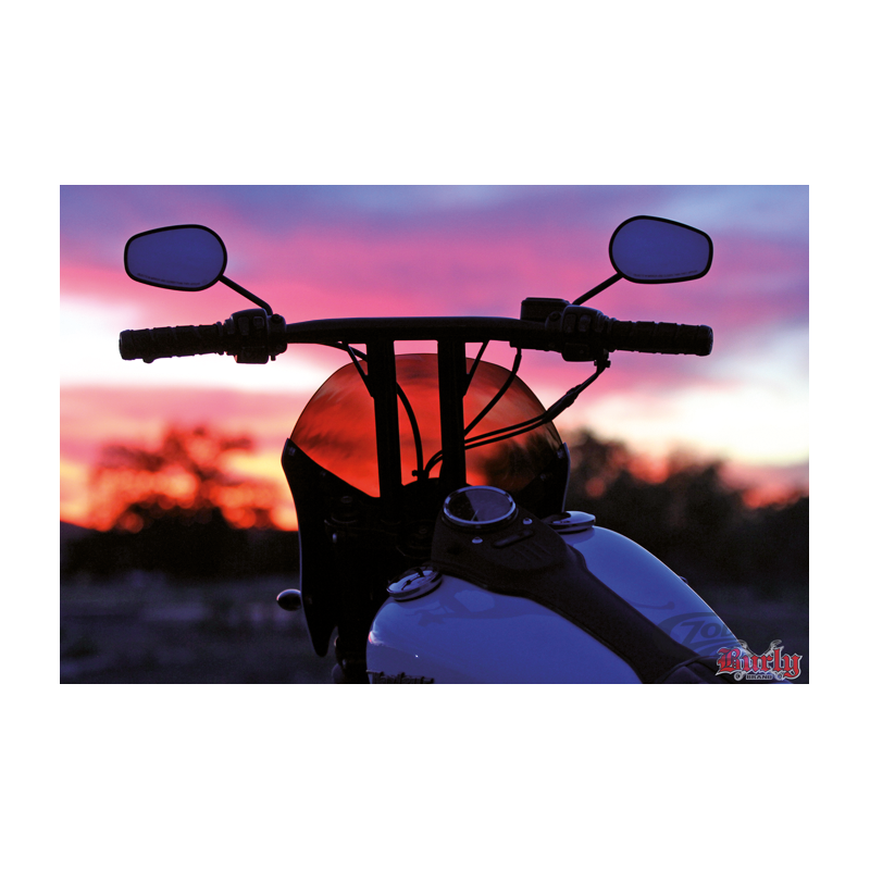 BURLY JAIL BARS UN POUCE UN QUART DE DIAMETRE