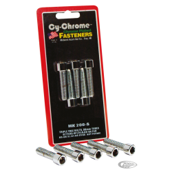 BOULONS CHROMES POUR TES DE 39 ET 41mm