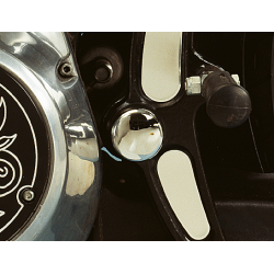 CACHE BOULON DU PIVOT DU BRAS OSCILLANT POUR SOFTAIL EVOLUTION