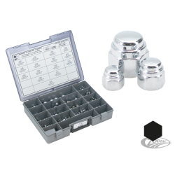 ECROUS BORGNES PLATS