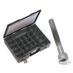 ASSORTIMENT DE VIS ALLEN CHROMEE