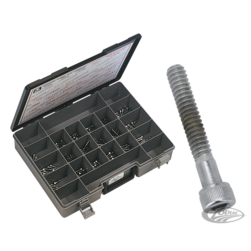 ASSORTIMENT DE VIS ALLEN CHROMEE