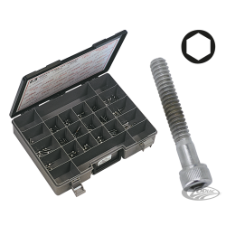 ASSORTIMENT DE VIS ALLEN CHROMEE