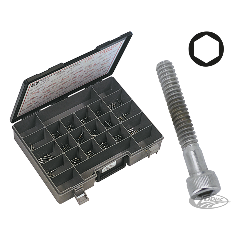 ASSORTIMENT DE VIS ALLEN CHROMEE