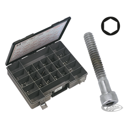 ASSORTIMENT DE VIS ALLEN CHROMEE