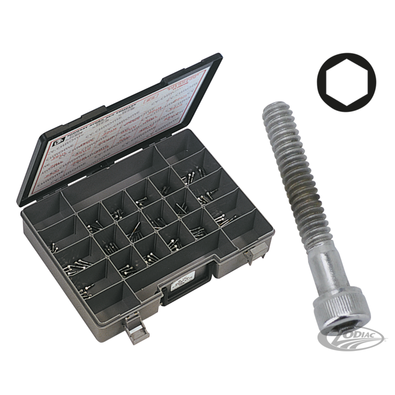 ASSORTIMENT DE VIS ALLEN CHROMEE