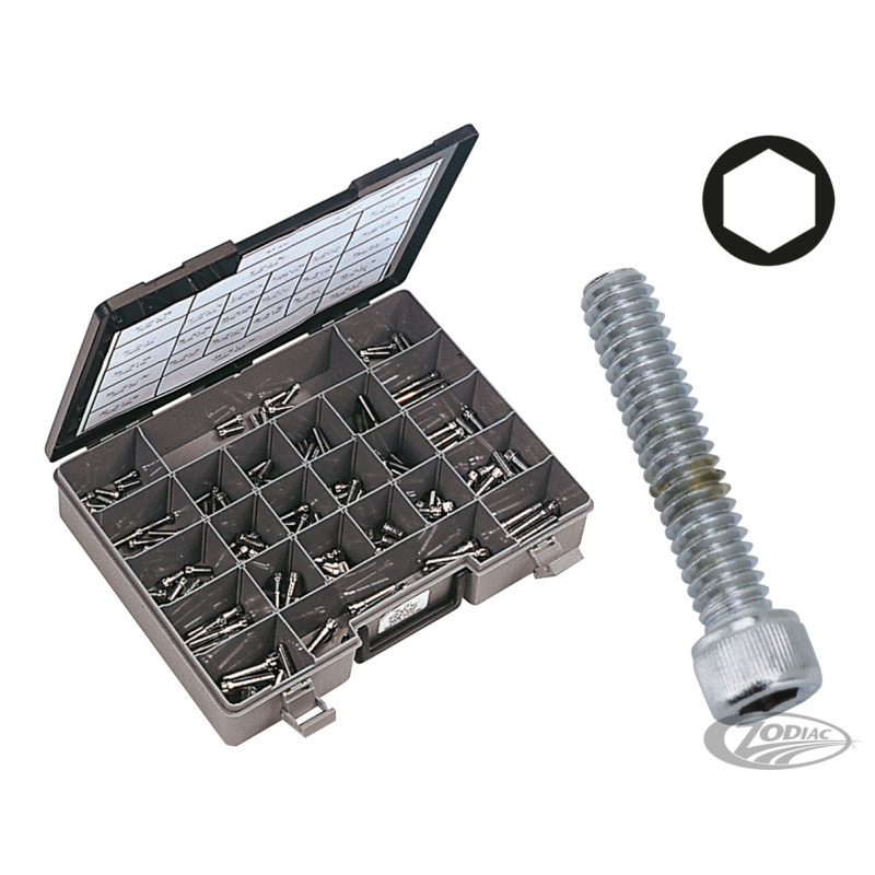 ASSORTIMENT DE VIS ALLEN CHROMEE