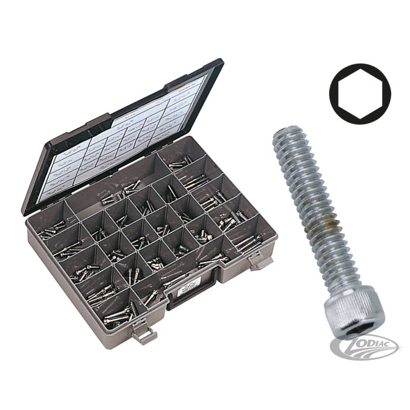 ASSORTIMENT DE VIS ALLEN CHROMEE