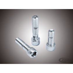 ASSORTIMENT DE VIS CHROMEES A TÊTE ALLEN