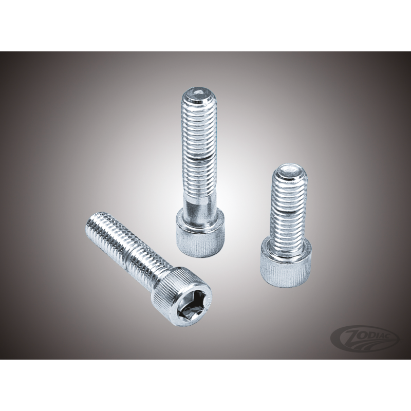 ASSORTIMENT DE VIS CHROMEES A TÊTE ALLEN