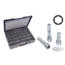 ASSORTIMENT DE VIS CHROMEES A TÊTE ALLEN