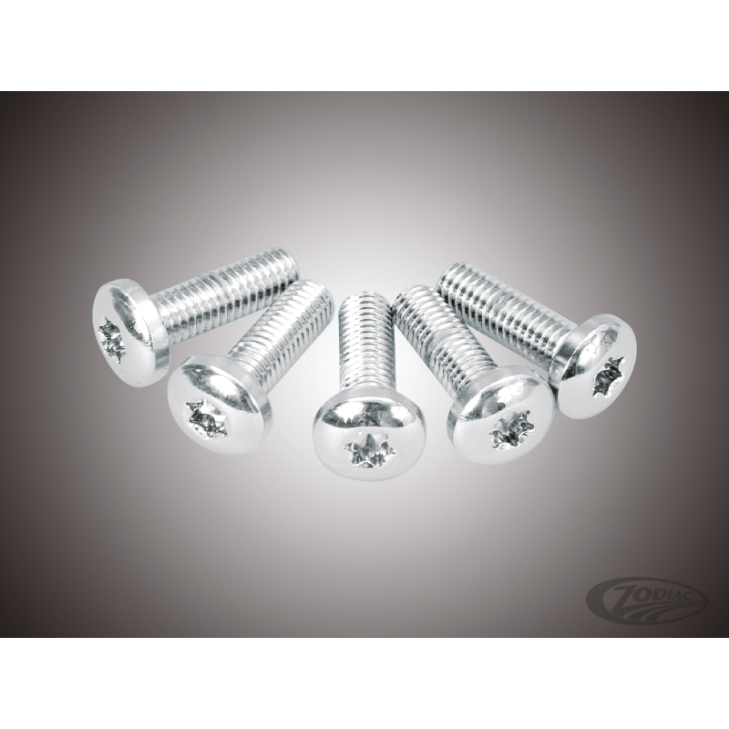 ASSORTIMENT DE VIS TORX TETE BOUTON CHROMEES