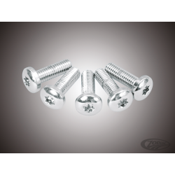 ASSORTIMENT DE VIS TORX TETE BOUTON CHROMEES