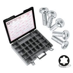 ASSORTIMENT DE VIS TORX TETE BOUTON CHROMEES