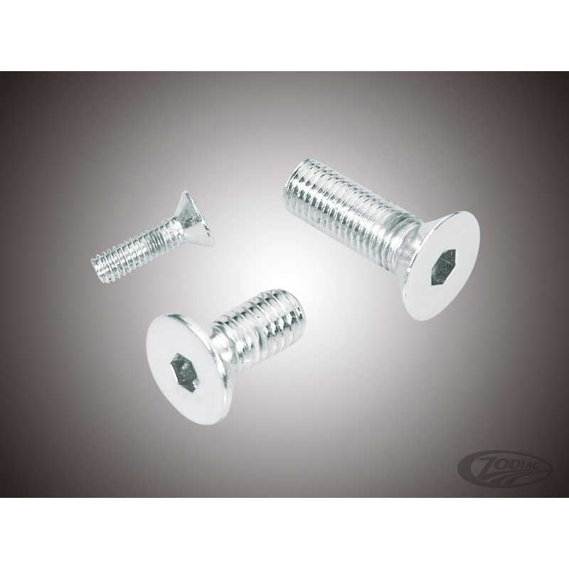 ASSORTIMENT DE VIS A TETE PLATE FRAISEE CHROMEES