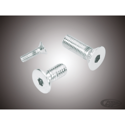 ASSORTIMENT DE VIS A TETE PLATE FRAISEE CHROMEES