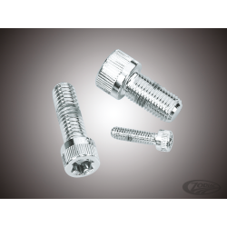ASSORTIMENT DE VIS TORX CHROMEES